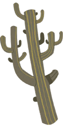 Cactus