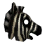 Zebra Head