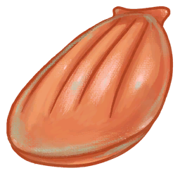 Clam