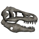 T-Rex Skull