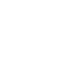 Chalk Skull