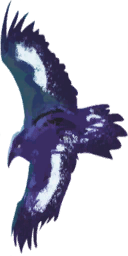 File:Sticker DLC AssassinsCreed Animal Hawk.png