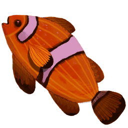 Clown Fish