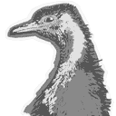 File:Sticker Down Under Emu Head rAlpha.png