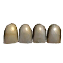 Lower Teeth