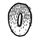 Letter Z