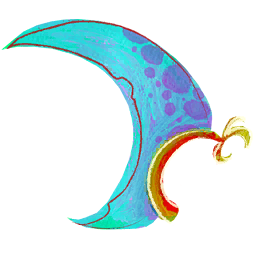 Pterodactyl Wing