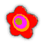 Cardboard Flower