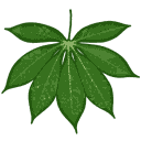 File:Sticker DLC Jungle Foliage Leaf Pointy.png
