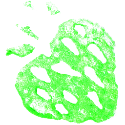 File:Sticker Jacobs Well Strawberry Print.png