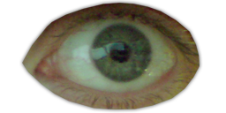 Real Big Eye