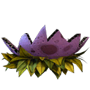 Dinosaur Egg Shell Bottom