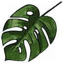 File:Sticker DLC Jungle Foliage Leaf Holey.png