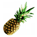 Sticker DLC Fruit Salad Pineapple.png