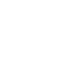 File:Shape LBPK Octagon.png