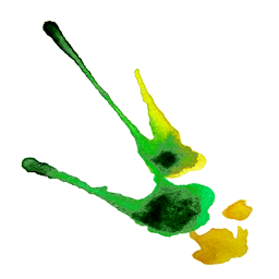 Paint Splat - Green-Yellow 1