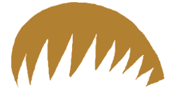Palm Tree Leaf 3