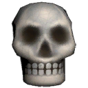 Ceramic Skull