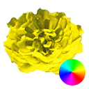 Marigold