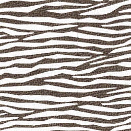 Zebra Skin Pattern (Early)