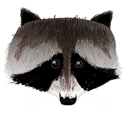 Raccoon Head