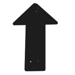 Black Arrow