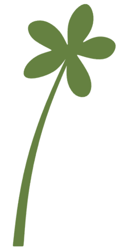 Palm Tree