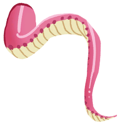 File:Sticker DLC Monsters Pink Blob Tentacle 2.png