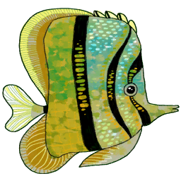 Butterfly Fish