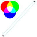 Fluorescent Light