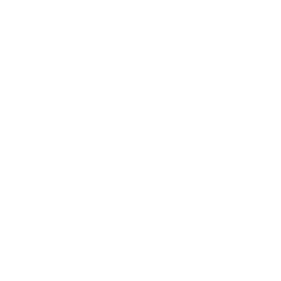 Ring - Big Dashes