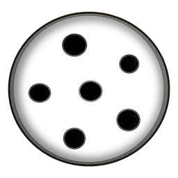 Floor Drain 2
