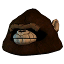 Ape Head