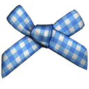 Gingham Bow
