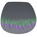 Pigeon Skin