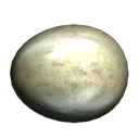 Dinosaur Egg