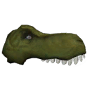 T-Rex Head