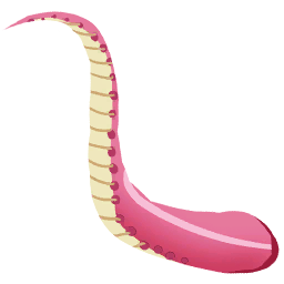 Pink Blob Tentacle 3