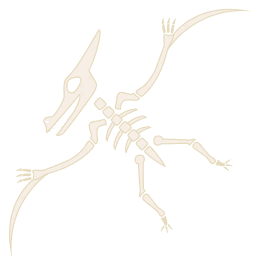 File:Sticker Popit Puzzles History Museum Dino Sky.png