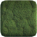 Moss