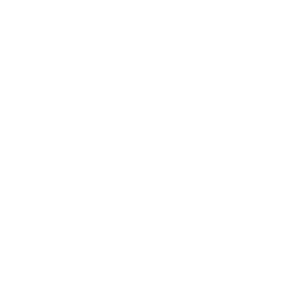 White Paint Smudge