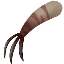 Brown Lizard Arm 1