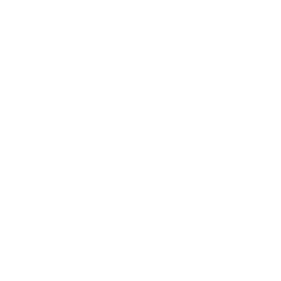 Icon.