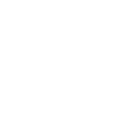 Tint - White