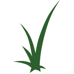Grass 3