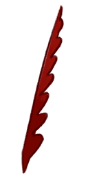 Native American Feather