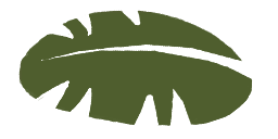 File:Sticker Zen Foliage Palm Tree Leaf 7.png
