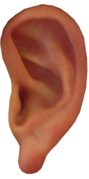 Real Big Ear
