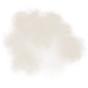 Dust Particles