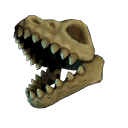 Dinosaur Skeleton Skull
